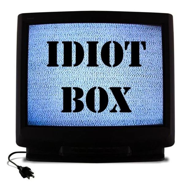 Television An Idiot Box Essay Examples