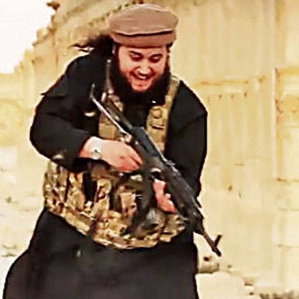 Terrorist Essay Examples