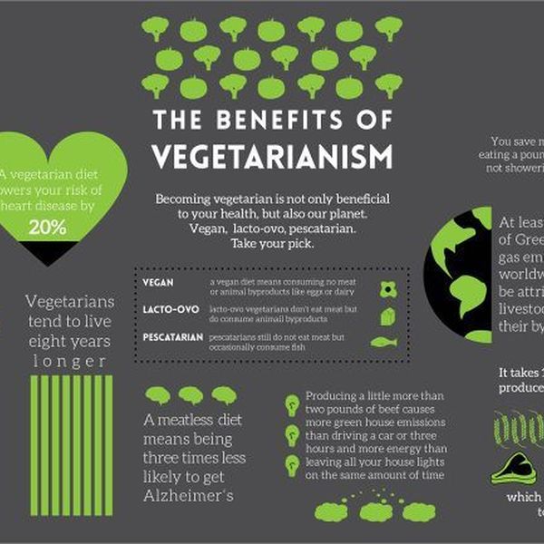 The Benefits Of Vegetarianism Essay Examples