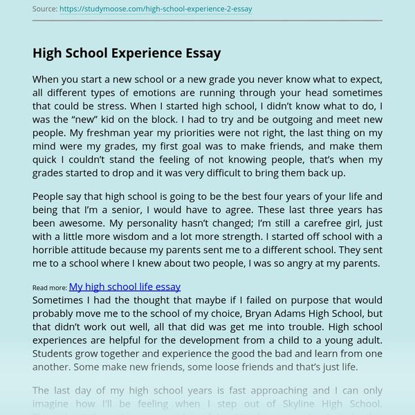 The Experience Of High School Essay Examples