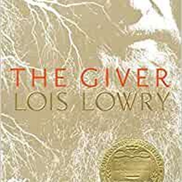 The Giver By Lois Lowry Essay Examples