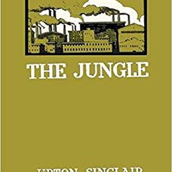The Jungle By Upton Sinclair Essay Examples