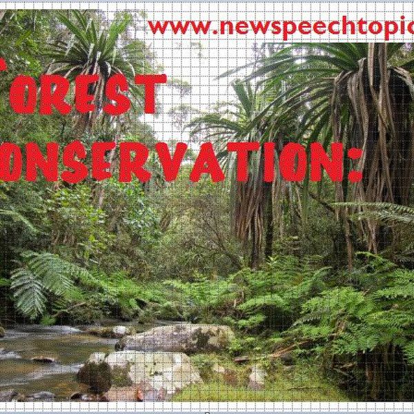 The Need To Preserve Forests Essay Examples