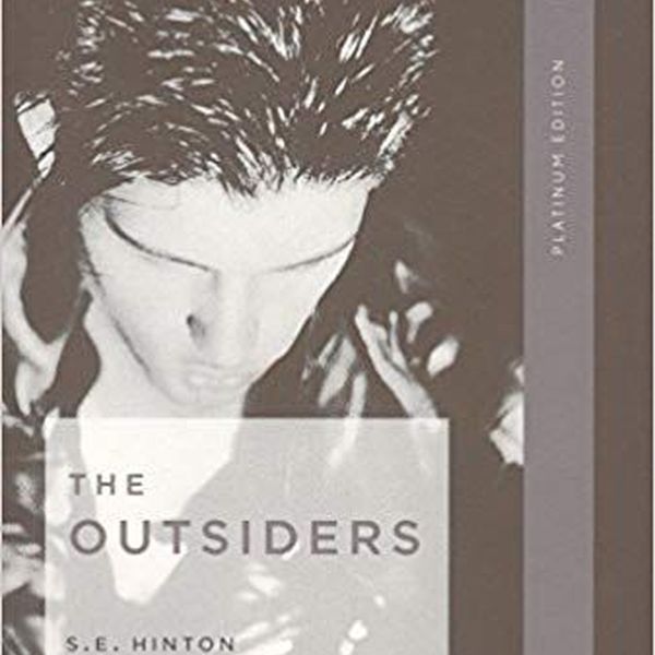The Outsiders Book Essay Examples