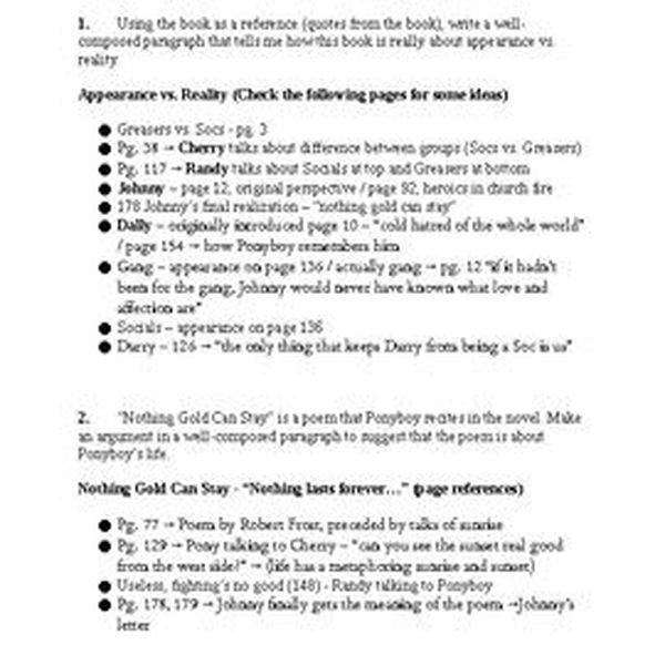 The Outsiders Themes Essay Examples