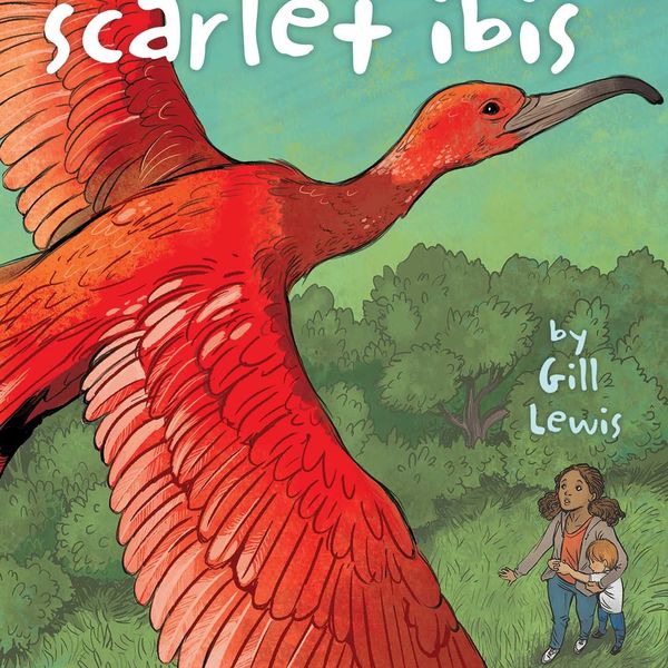 The Scarlet Ibis Essay Examples