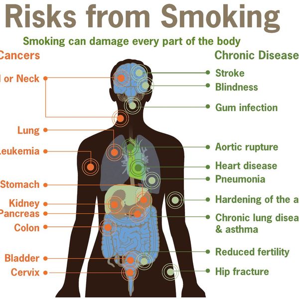 Tobacco And Its Harmful Effects Essay Examples