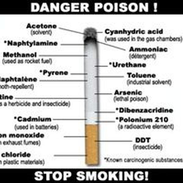Tobacco Should Be Banned Essay Examples