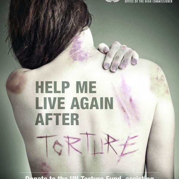 Torture And Human Rights Essay Examples