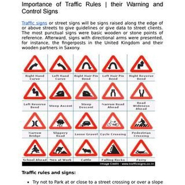Traffic Rules And Their Importance Essay Examples