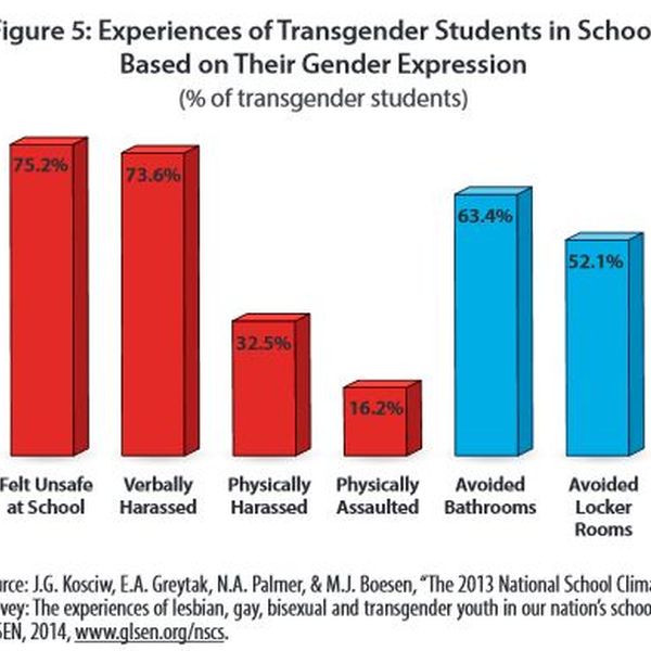 Transgender Issues Essay Examples