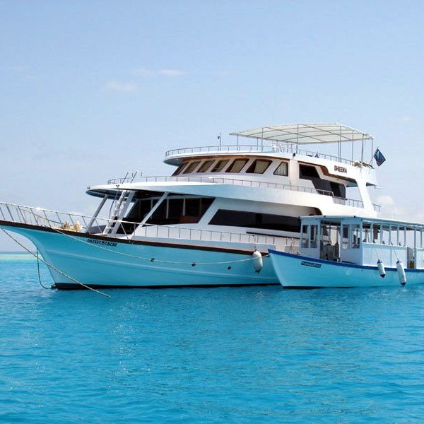Travelling By Boat Essay Examples