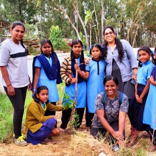 Tree Plantation In School Essay Examples