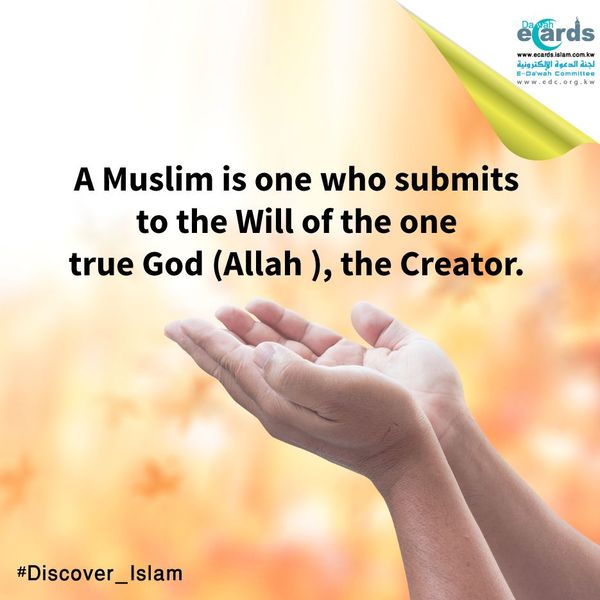 True Muslim Essay Examples