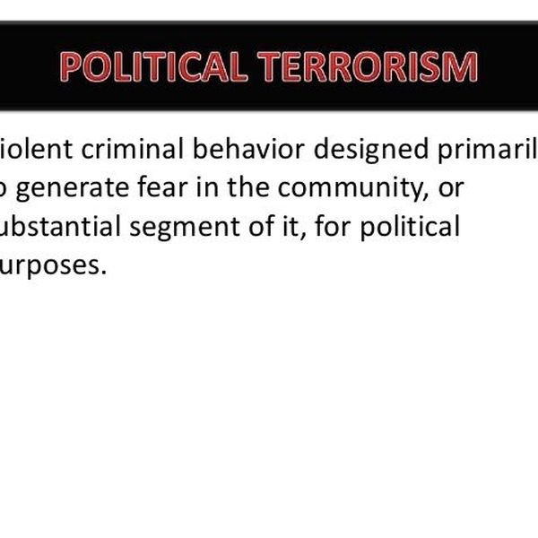 Types And Causes Of Terrorism Essay Examples