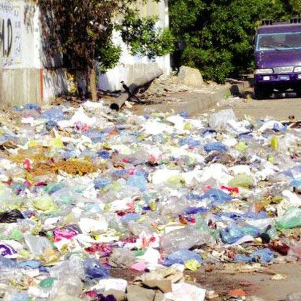 Unhygienic Conditions Essay Examples