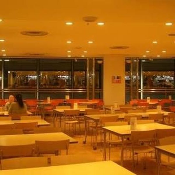 University Cafeteria Essay Examples