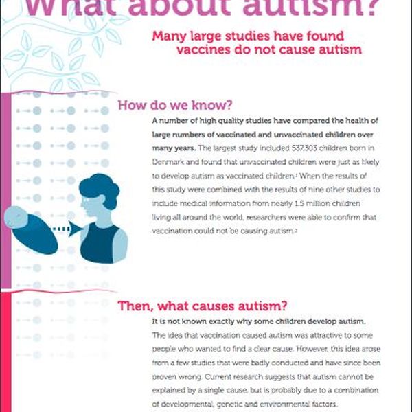 Vaccines And Autism Essay Examples