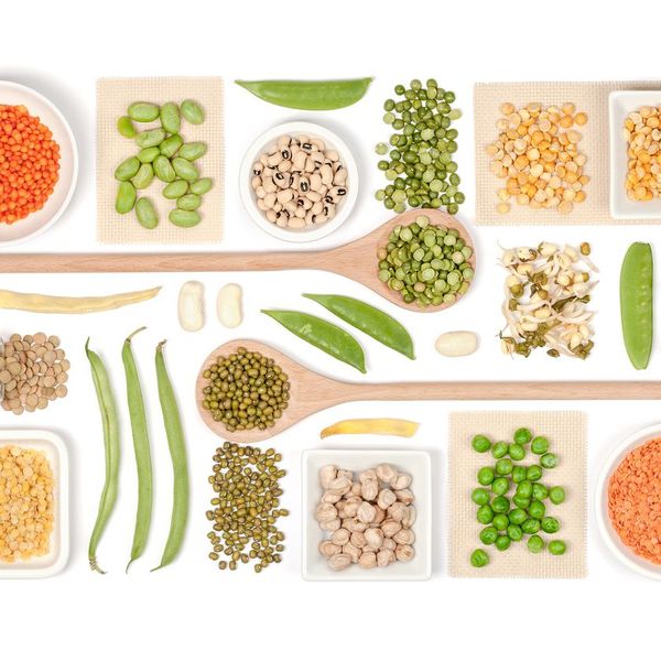 Vegetarian Essay Examples
