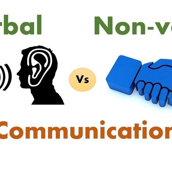 Verbal And Nonverbal Communication Essay Examples