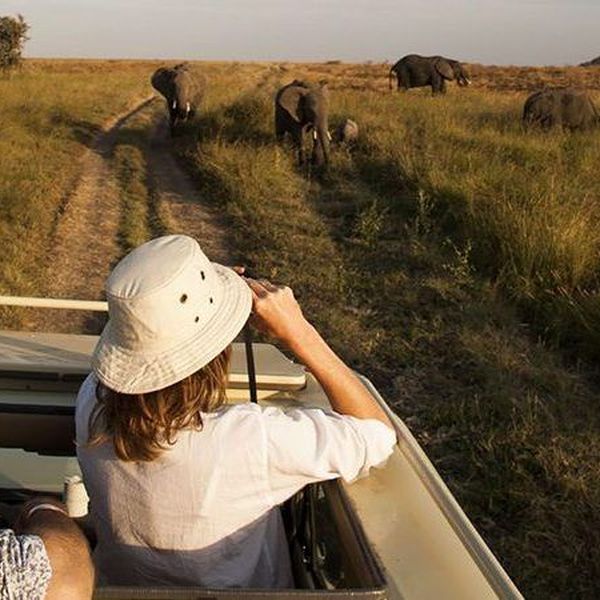 Visit To National Park Essay Examples