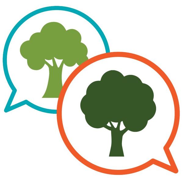 Vote For Trees Essay Examples