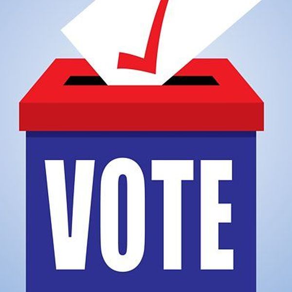 Vote Essay Examples