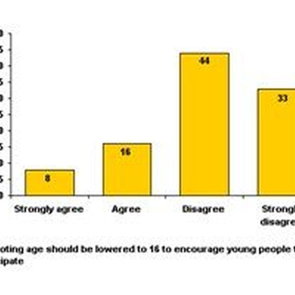 Voting Age Should Be Lowered Essay Examples