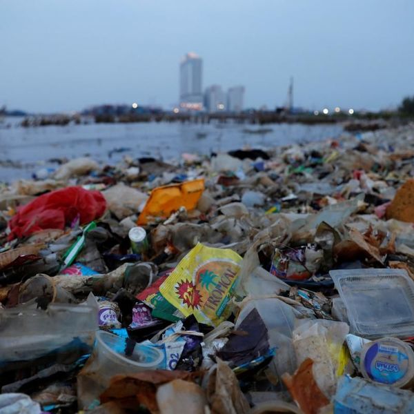 Waste Essay Examples