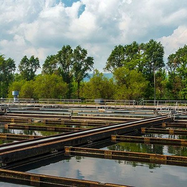 Wastewater Management Essay Examples