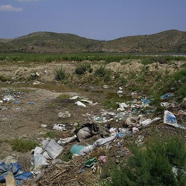 Water And Soil Pollution Essay Examples