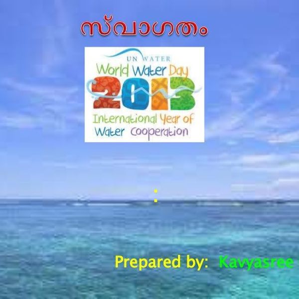 Water Cooperation Issues And Challenges Essay Examples
