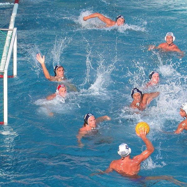 Water Polo Essay Examples