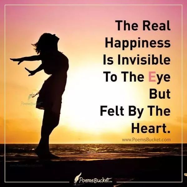 What Is Real Happiness Essay Examples