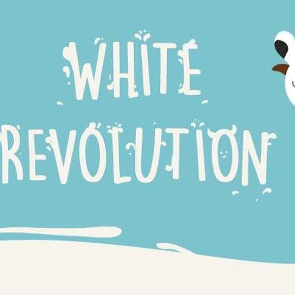 White Revolution In India Essay Examples