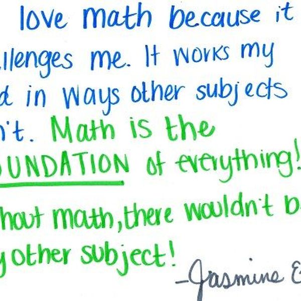 Why I Love Mathematics Essay Examples