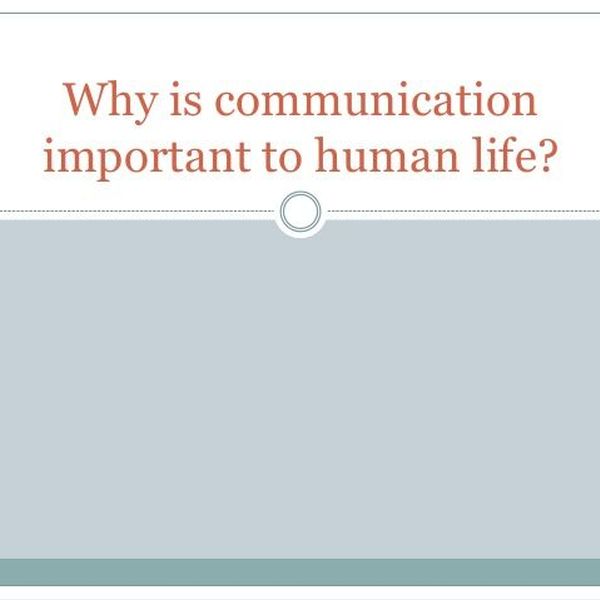 Why Is Communication Important Essay Examples
