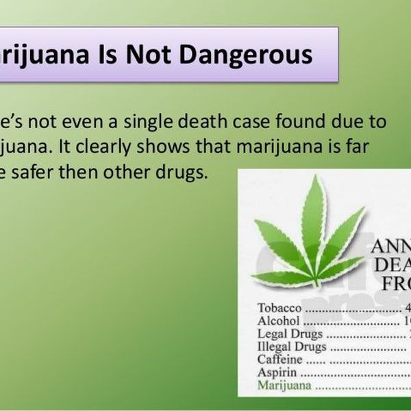 Why Marijuana Should Be Legal Essay Examples