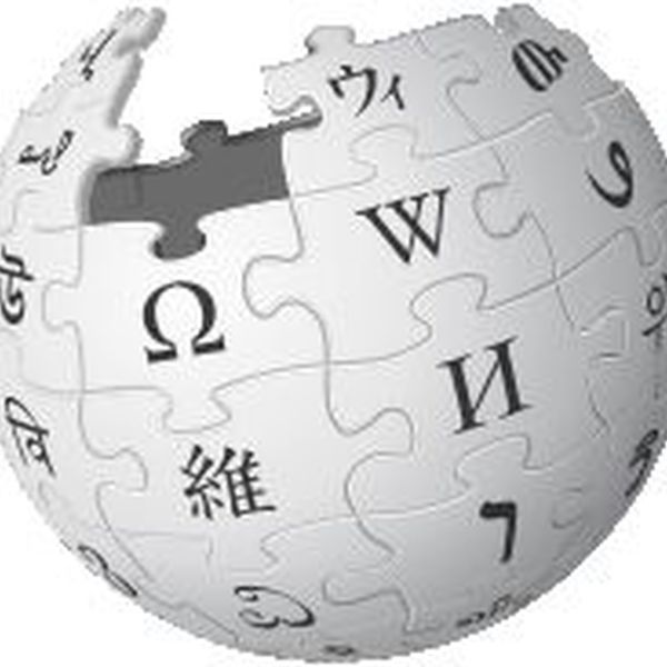 Wikipedia Essay Examples