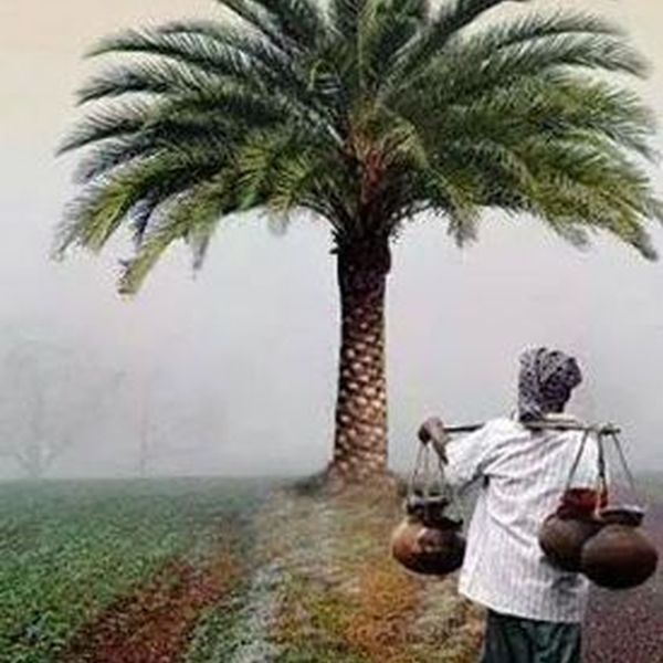 Winter Season In Bangladesh Essay Examples
