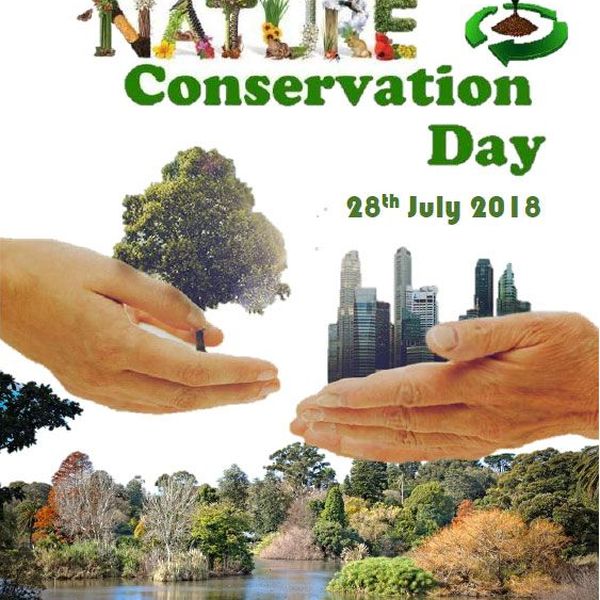 World Nature Day Essay Examples
