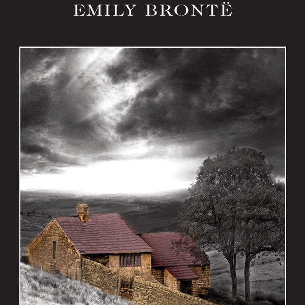 Wuthering Heights Essay Examples