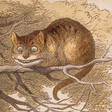 The Cheshire Cat in book Alice in Wonderland
