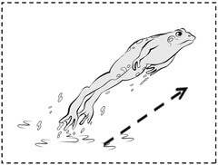 what year did jumping frog come out and what did it get for twain what year did jumping frog come out and what did it get for twain